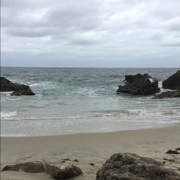 Meet your Posher, Irma - Picture 1 of 1